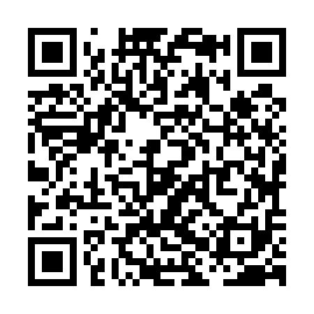 QR code for PHZ511