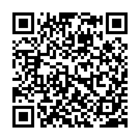 QR code for PIC100