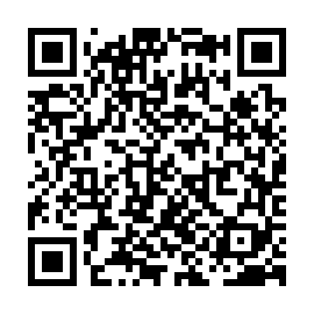 QR code for PIC369