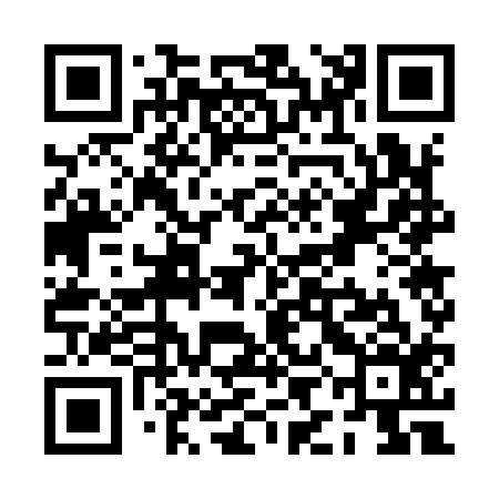 QR code for PIG916