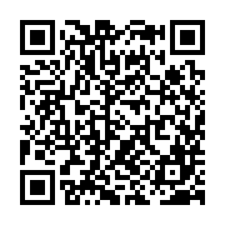 QR code for PII386