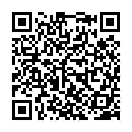 QR code for PII558