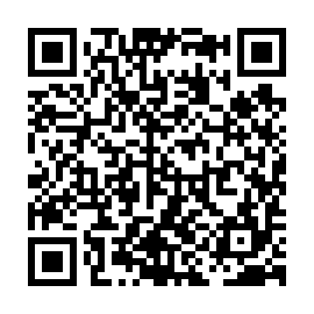 QR code for PII694