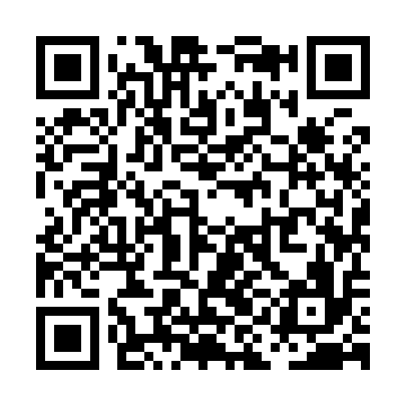 QR code for PII916