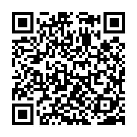 QR code for PIJ528