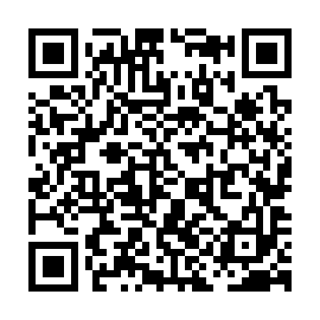 QR code for PIN393