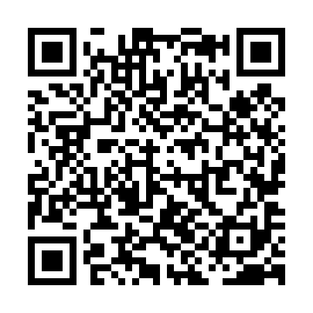 QR code for PIN491