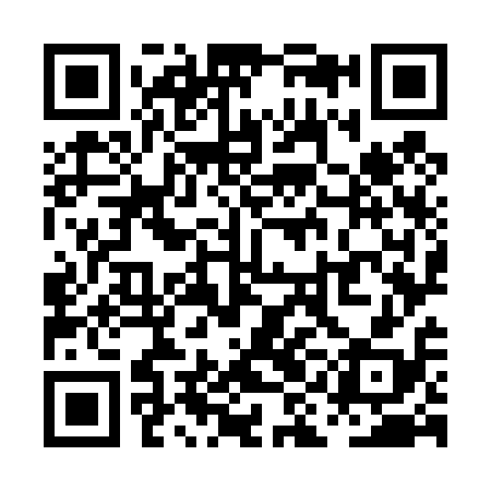 QR code for PIO418
