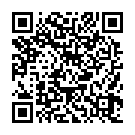 QR code for PIP368