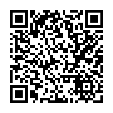 QR code for PIP397