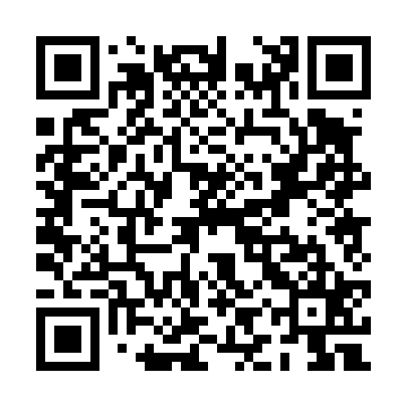 QR code for PIP425