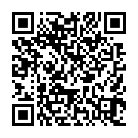QR code for PIP741