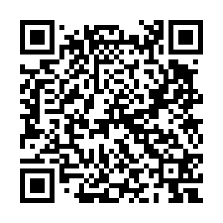 QR code for PIS420