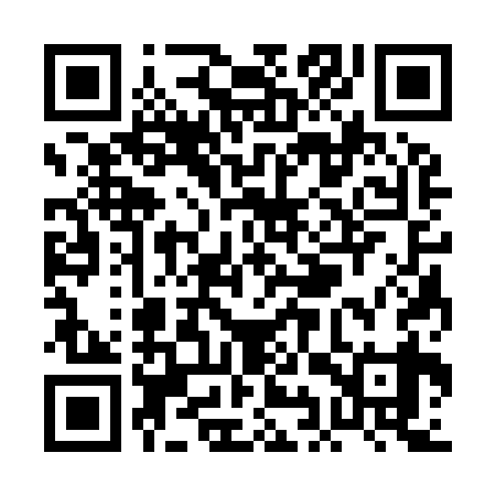 QR code for PIS939