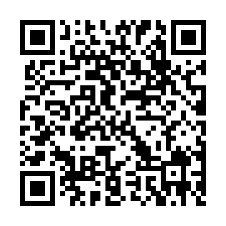 QR code for PIT509