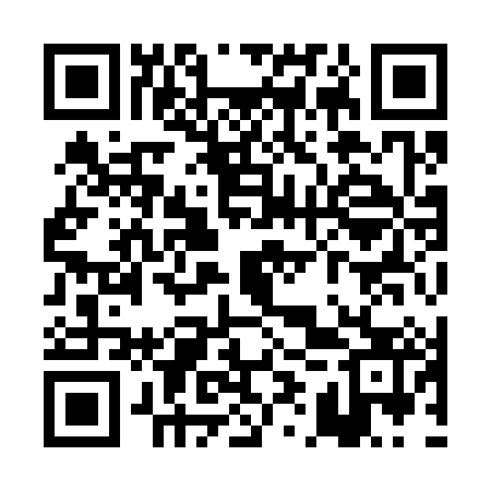 QR code for PIY383