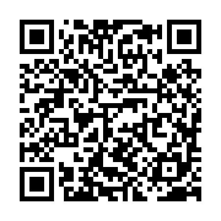 QR code for PIZ295