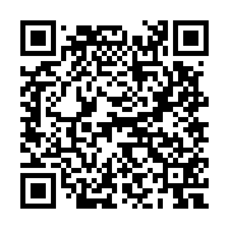 QR code for PIZ551