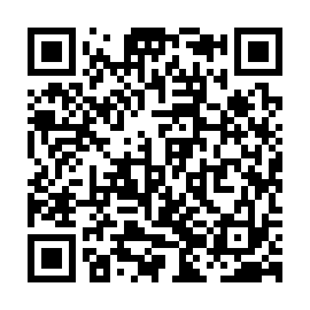 QR code for PJI333