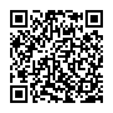 QR code for PJO741