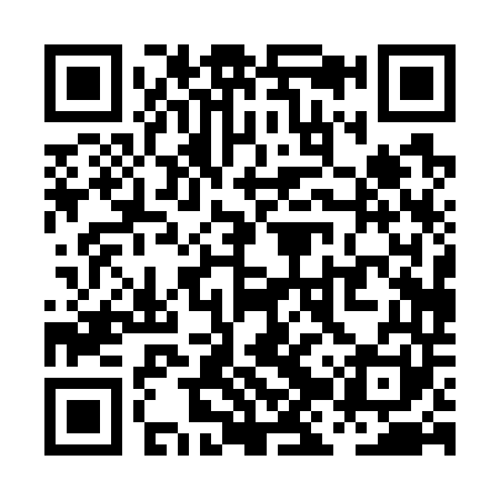 QR code for PJP741