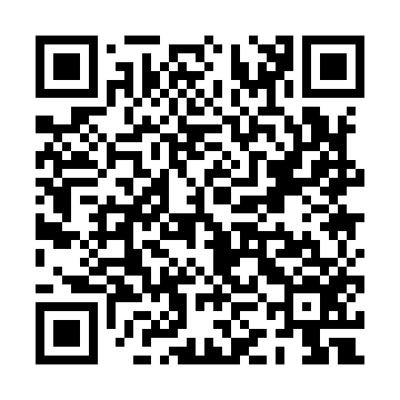 QR code for PKA956