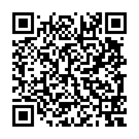 QR code for PKL498