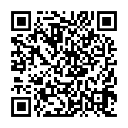 QR code for PLR919