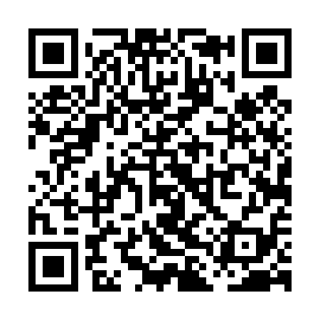 QR code for PLT419