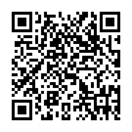 QR code for PLX393