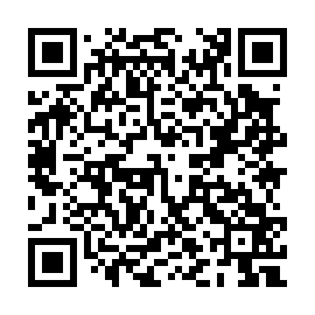 QR code for PLY063