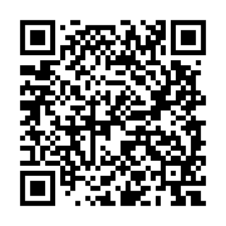 QR code for PMT596