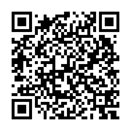 QR code for PNS618