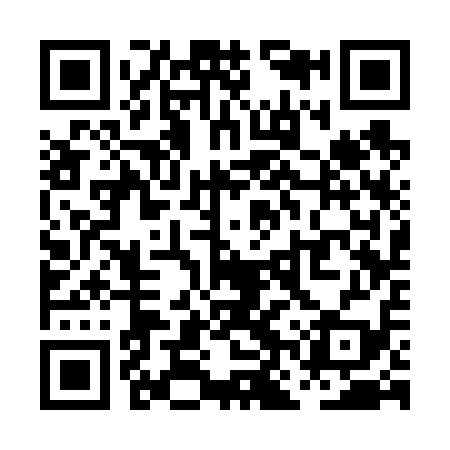 QR code for PNS619