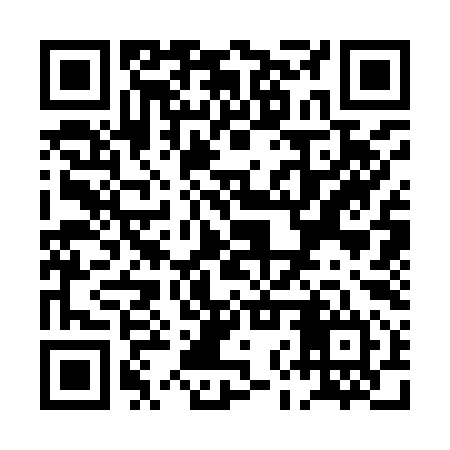 QR code for PNS994