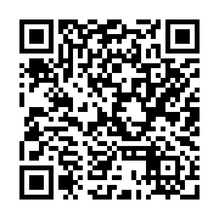 QR code for POI991