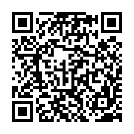 QR code for POS596