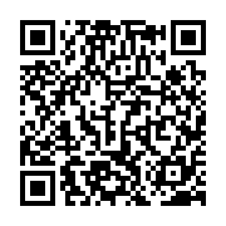 QR code for POV315