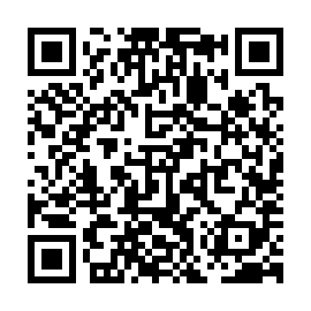 QR code for POV389