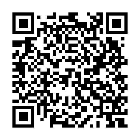 QR code for PPG616