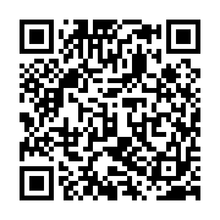 QR code for PPI113