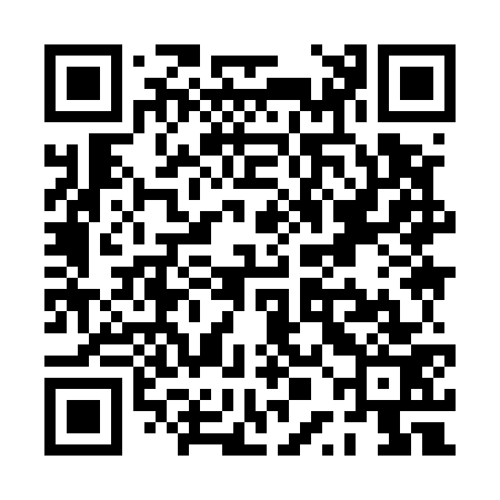 QR code for PPI573
