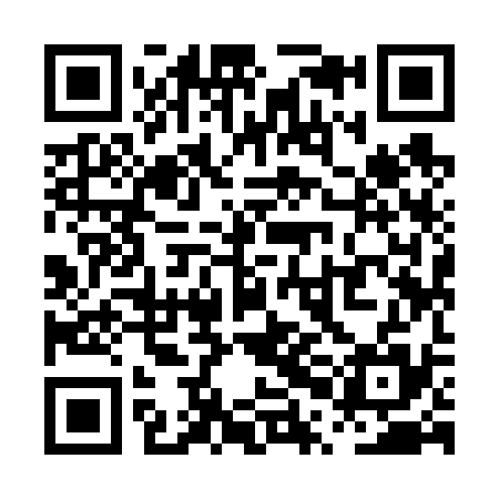 QR code for PPI635