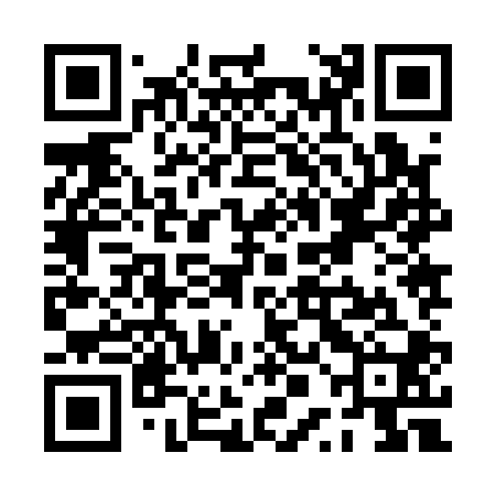 QR code for PPJ100