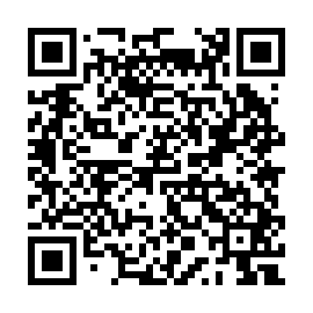 QR code for PPM241
