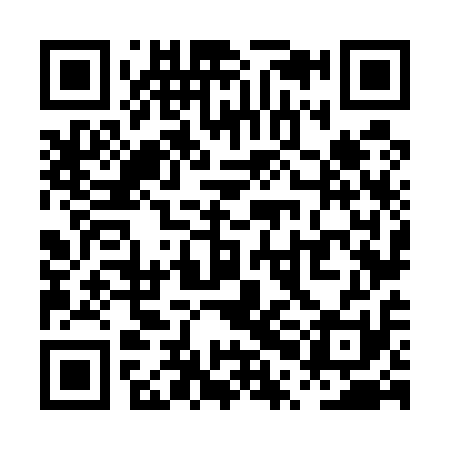 QR code for PPN511