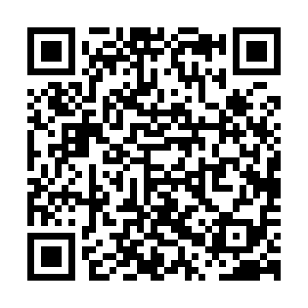 QR code for PPP919