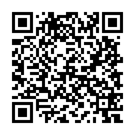 QR code for PPT568