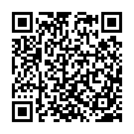 QR code for PPT767