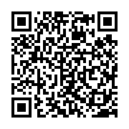 QR code for PPZ631